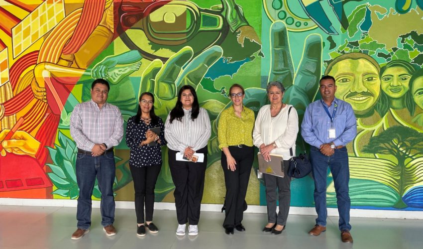 Coevaluación entre Universidades Politécnicas para identificar nuevas áreas de mejoras en la implementación del Modelo BIS