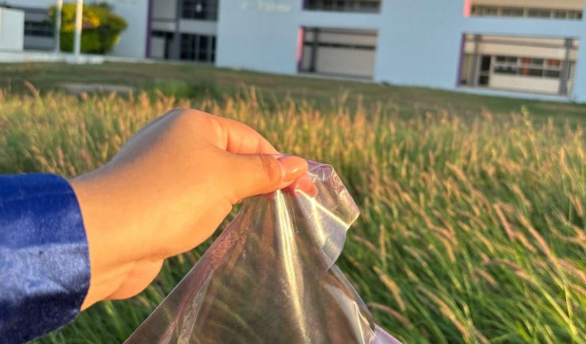 Los estudiantes de Segundo cuatrimestre de la carrera de Sistemas Automotrices realizan prácticas para el desarrollo de materiales biodegradables para desarrollar competencias en el área de materiales avanzados