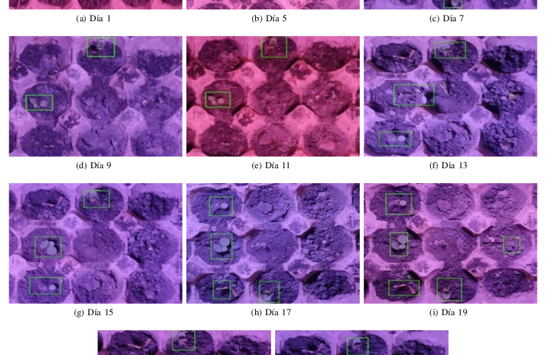 Profesores Investigadores de la UPV realizan relevante trabajo sobre Sistema de Monitoreo Remoto de Humedad, Temperatura y Estado de los Brotes en un Germinador Automático